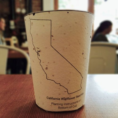 可食用塑料杯 環保與科技的革命性突破